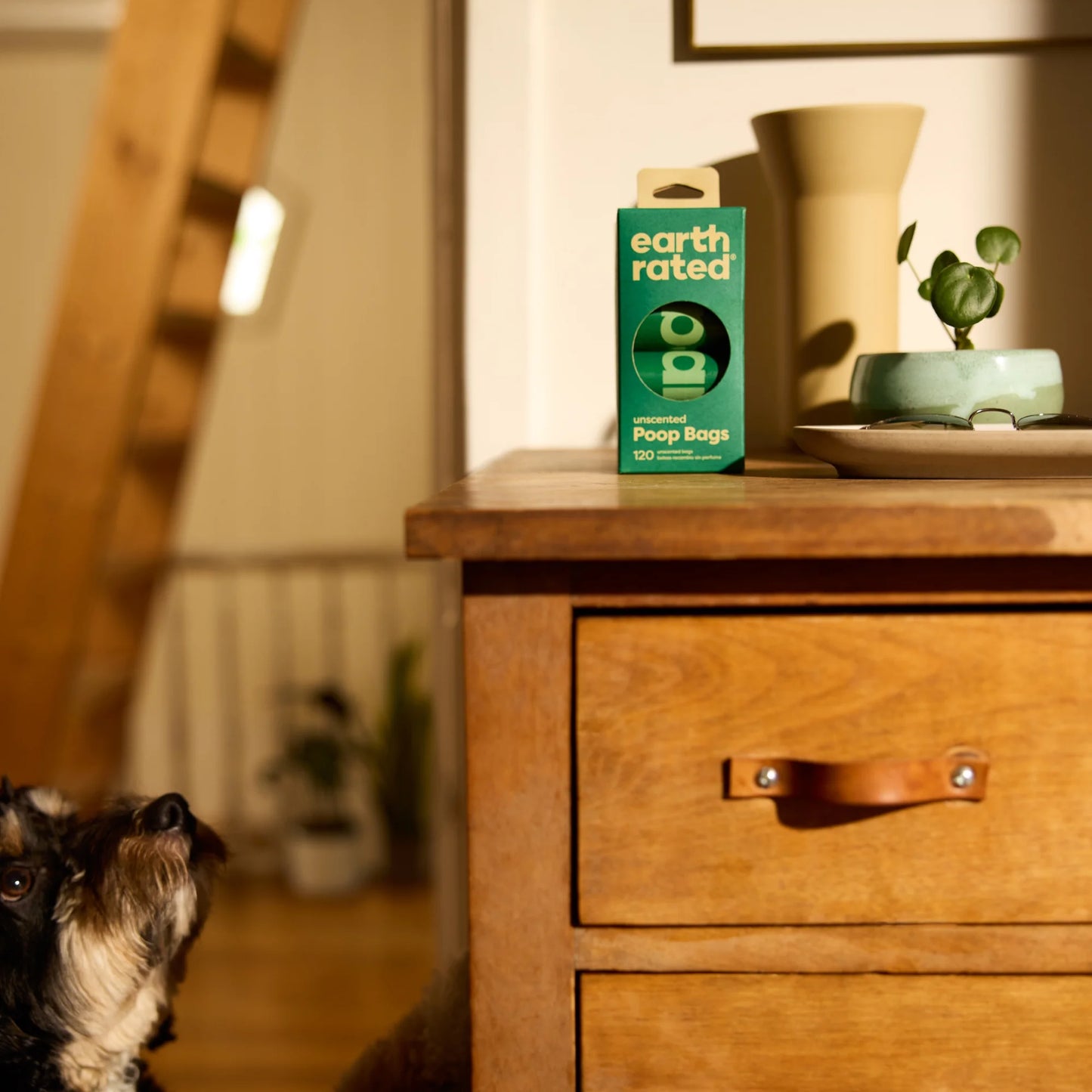 (4 Pack) Dog Poop Bags, Ultra Thick and Leak Proof Dog Waste Bags, Unscented, 60 Count