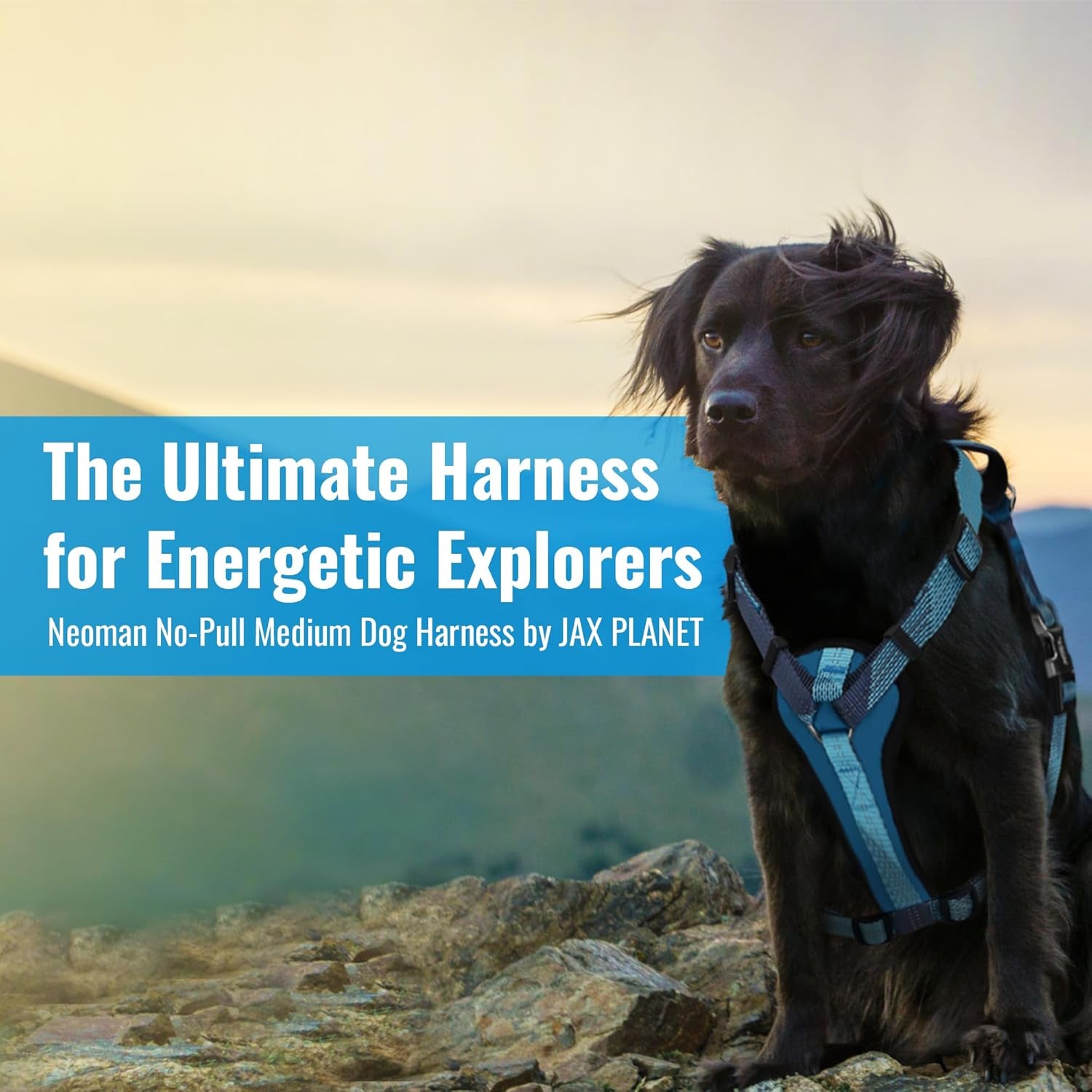 Premium No-Pull Black Dog Harness with Handle – Escape-Free, Anti-Pulling & Grip Control, Multi-Angle Reflective for Safe Walks & Training – Medium & Large Breeds, H3