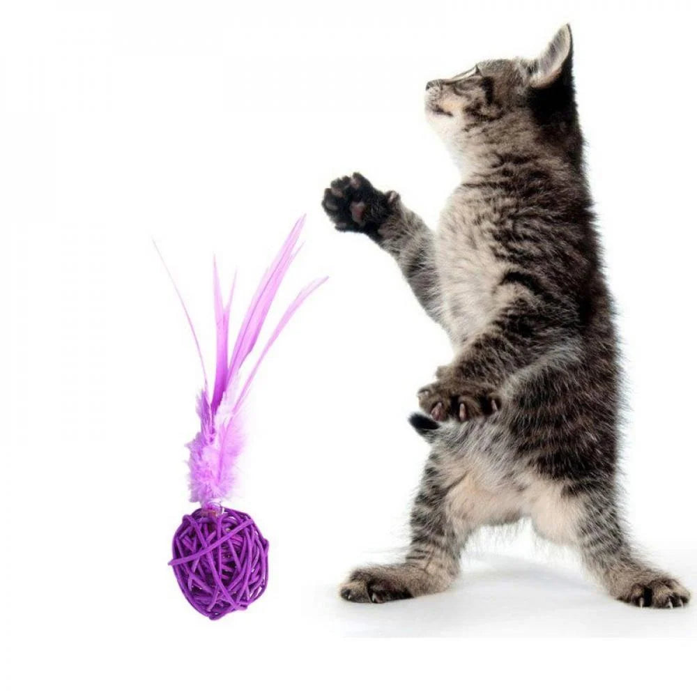 Interactive Plush & Ball Cat Toy Set with Training Accessories, Assorted Colors (2 Piece)