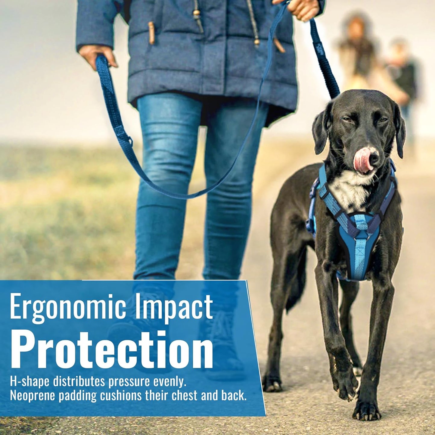 Premium No-Pull Black Dog Harness with Handle – Escape-Free, Anti-Pulling & Grip Control, Multi-Angle Reflective for Safe Walks & Training – Medium & Large Breeds, H3